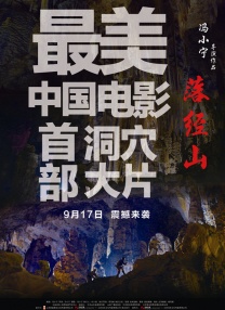 我弟弟2020
